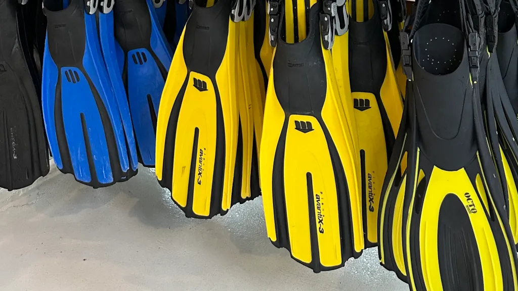 Dive fins at MTD Diveshop equipment room