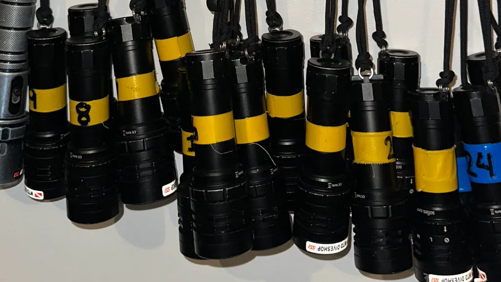 Dive torches for night dives at MTD Diveshop