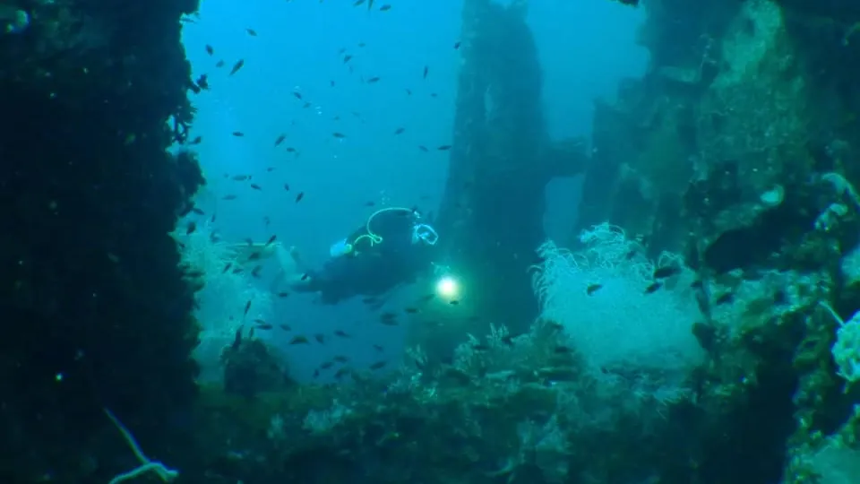 Diver at MV Doña Marilyn wreck