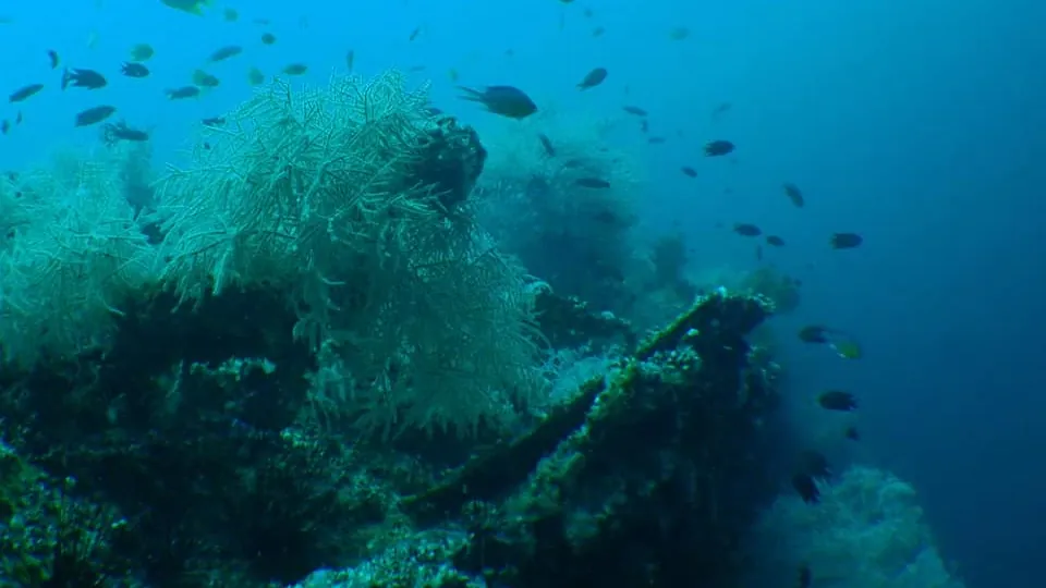 Wreck penetration at MV Doña Marilyn