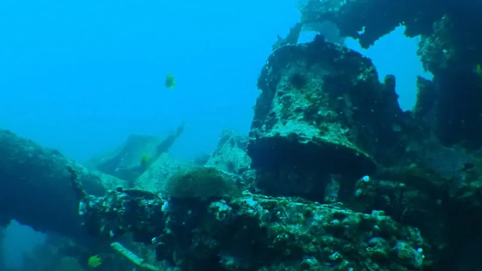 MV Doña Marilyn wreck dive, Malapascua