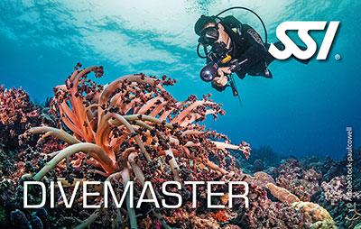 SSI Dive Master